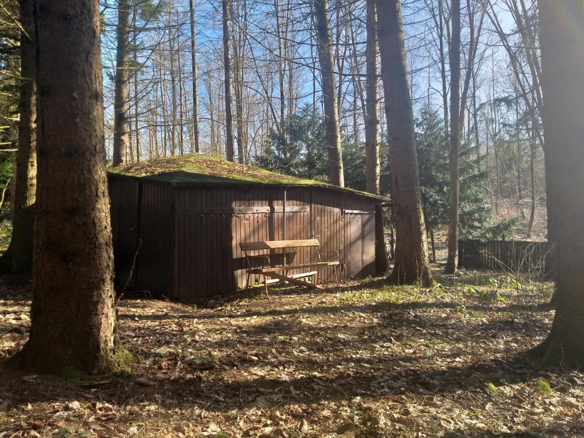 Hochwald-Ensuite Bad Sachsa Bagian luar foto