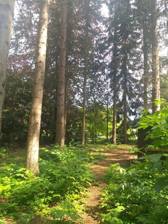 Hochwald-Ensuite Bad Sachsa Bagian luar foto