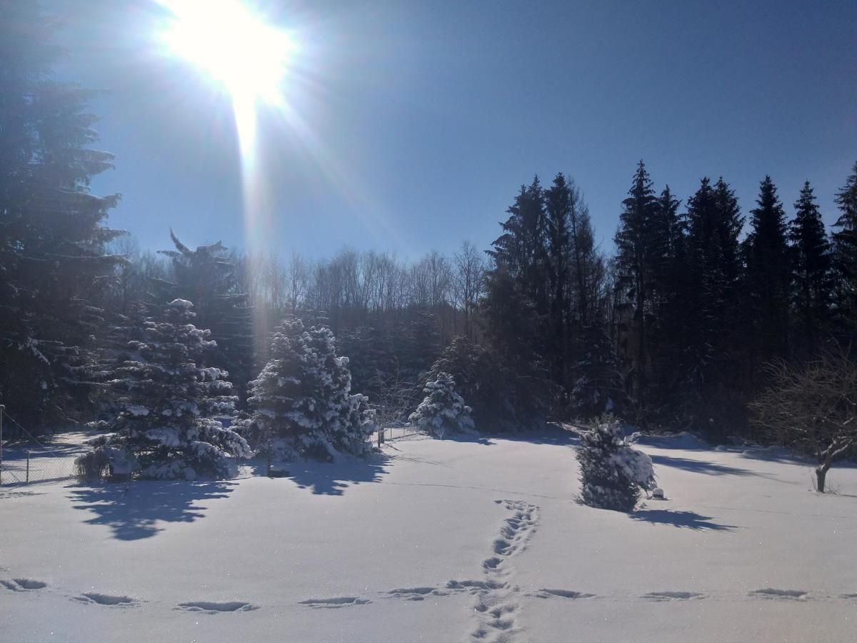 Hochwald-Ensuite Bad Sachsa Bagian luar foto