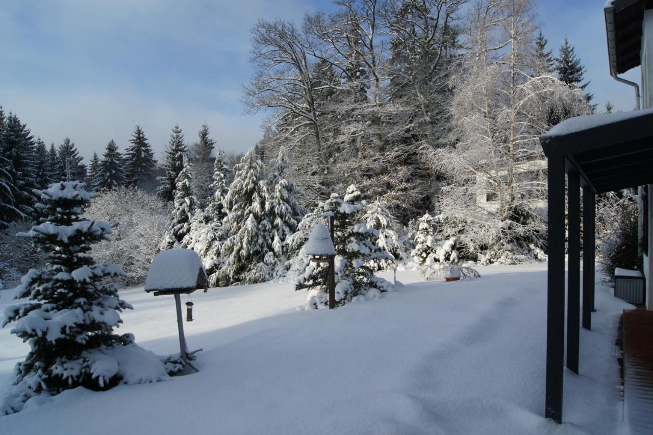 Hochwald-Ensuite Bad Sachsa Bagian luar foto